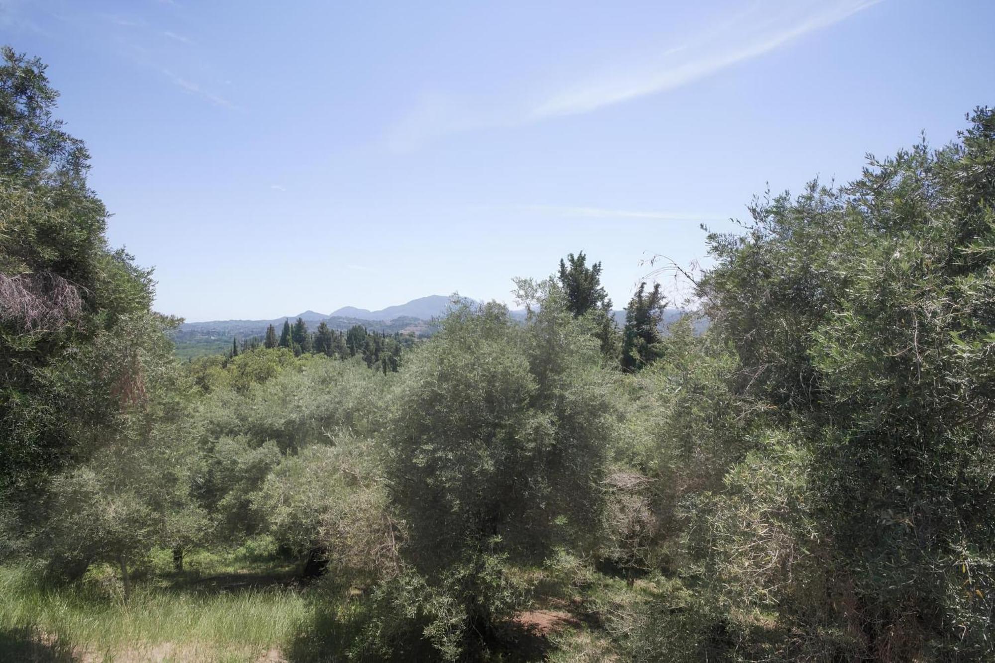Stavros & Loulas House Evropouloi